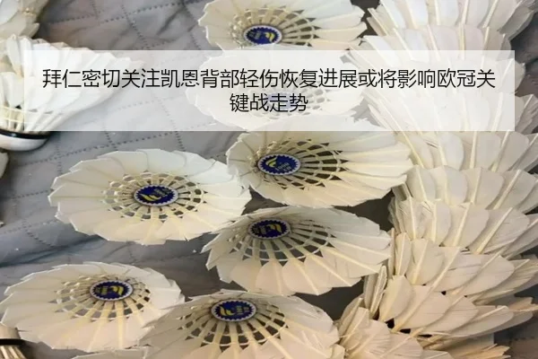 拜仁密切关注凯恩背部轻伤恢复进展或将影响欧冠关键战走势