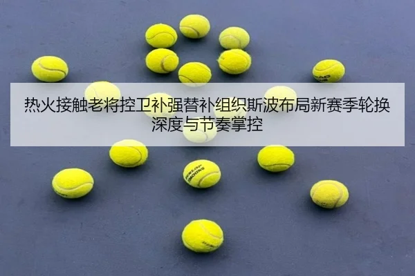 热火接触老将控卫补强替补组织斯波布局新赛季轮换深度与节奏掌控